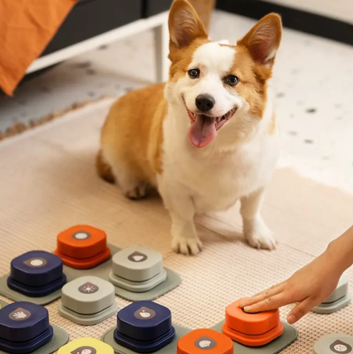 Talking Pet Communication Buttons – Recordable Training Button Set