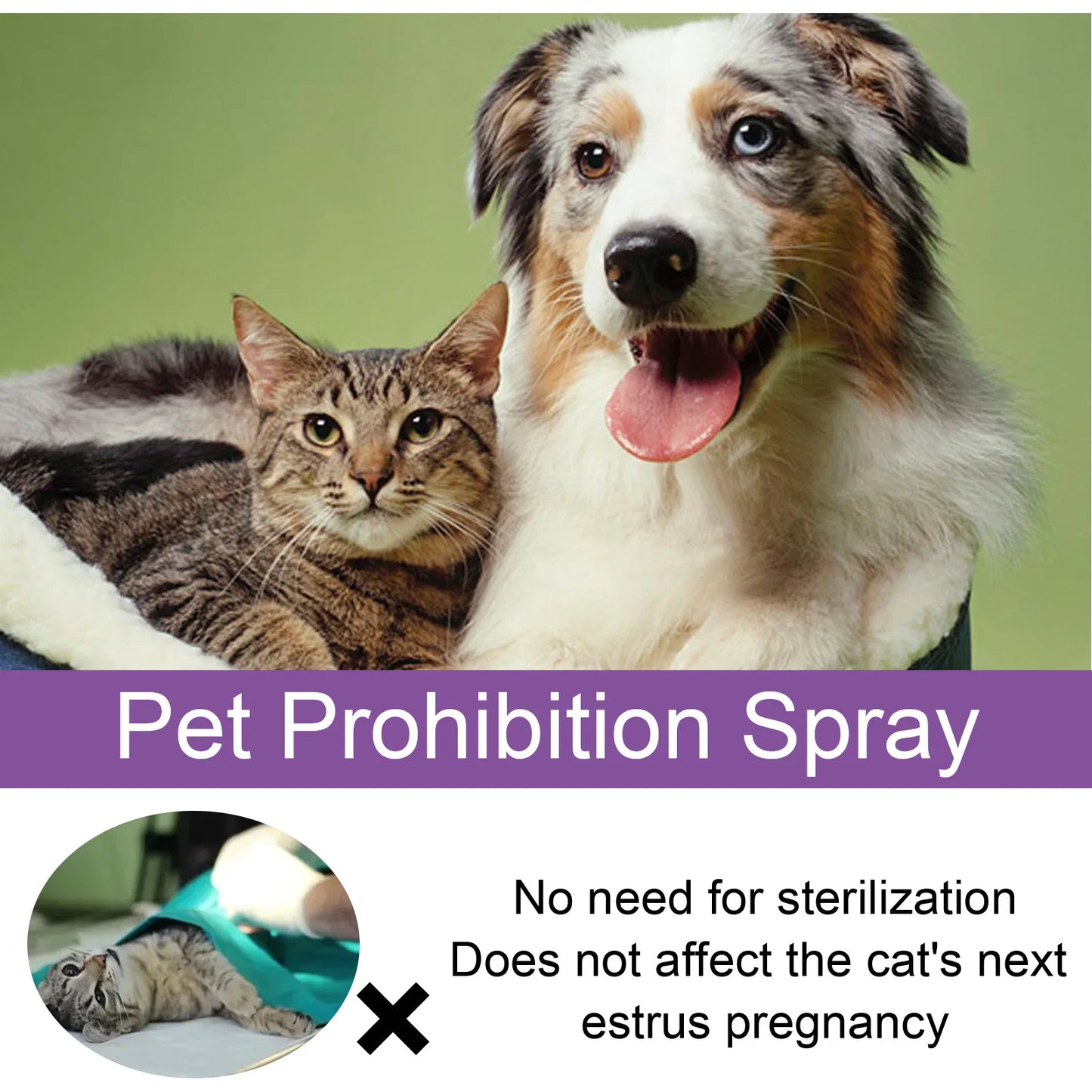 Calming Spray for Cats – Anxiety & Stress Relief Formula