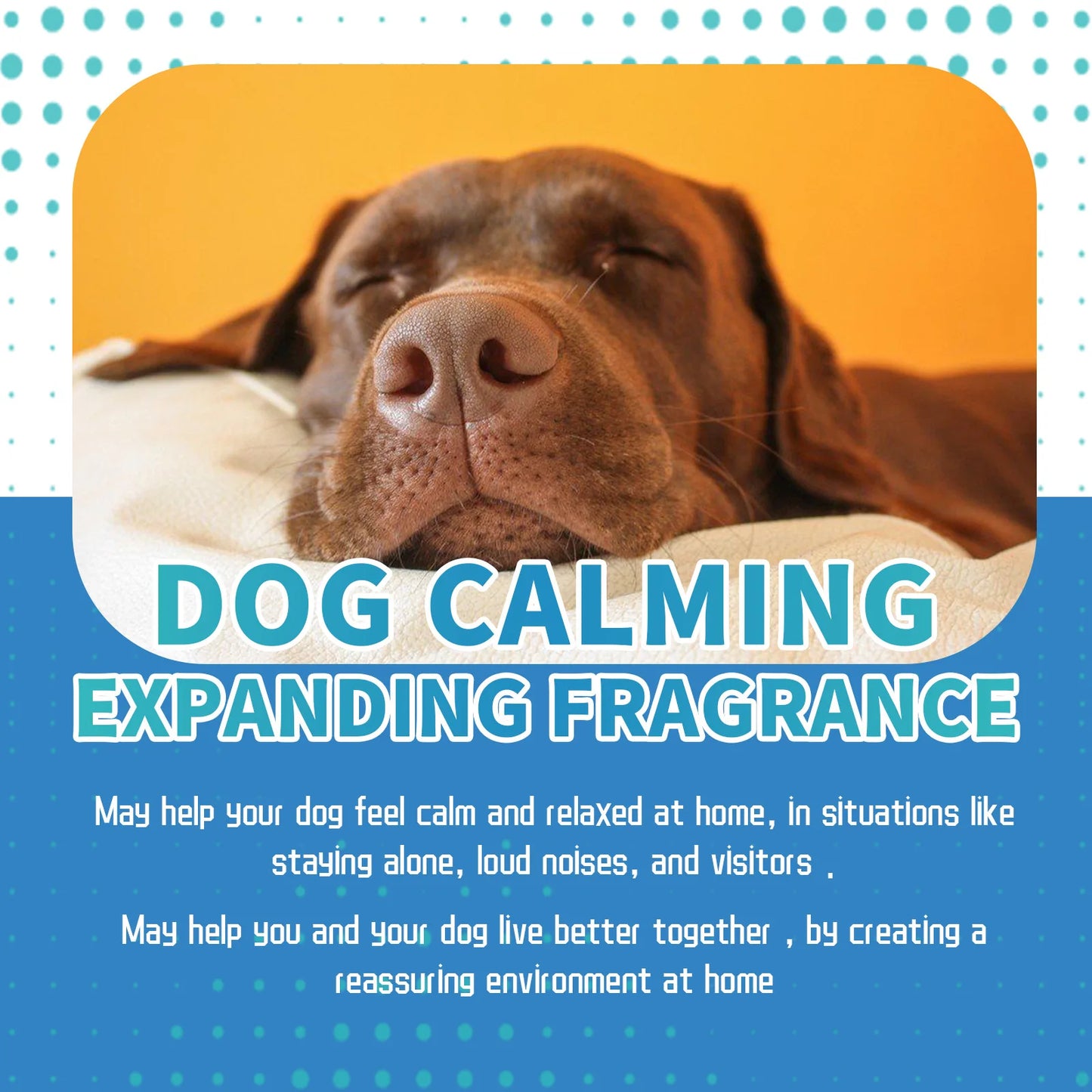 Pet Calming Plug-In Diffuser – Pheromone Aromatherapy for Dogs