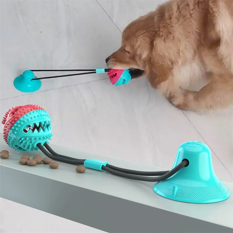 Suction Cup Tug Toy for Dogs – Bite-Resistant Interactive Ball