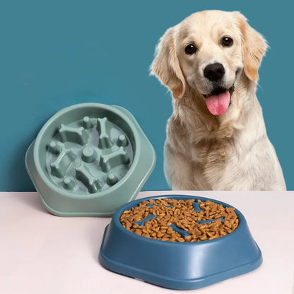 Dog Slow Feeder Bowl – Anti-Bloat Enrichment Feeding Dish