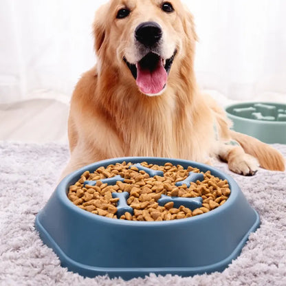 Dog Slow Feeder Bowl – Anti-Bloat Enrichment Feeding Dish