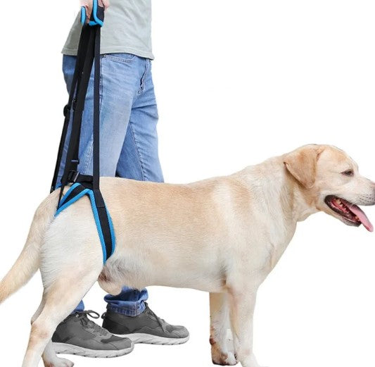Dog Hind Leg Support Strap – Walking Rehabilitation Brace