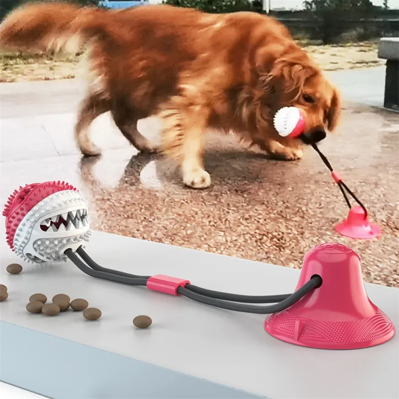 Suction Cup Tug Toy for Dogs – Bite-Resistant Interactive Ball