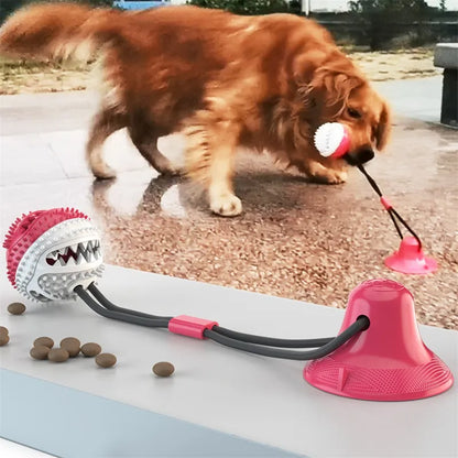 Suction Cup Tug Toy for Dogs – Bite-Resistant Interactive Ball
