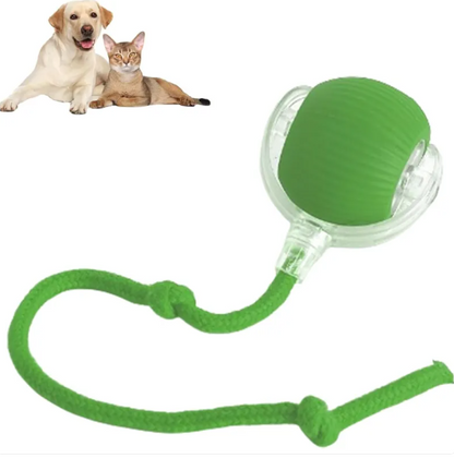 Auto-Rolling Smart Pet Ball – Interactive Motion Toy for Cats & Dogs