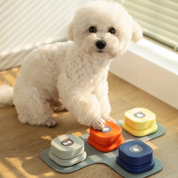 Talking Pet Communication Buttons – Recordable Training Button Set