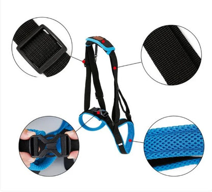 Dog Hind Leg Support Strap – Walking Rehabilitation Brace