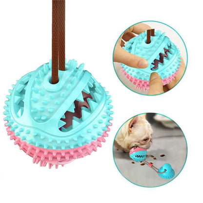 Suction Cup Tug Toy for Dogs – Bite-Resistant Interactive Ball
