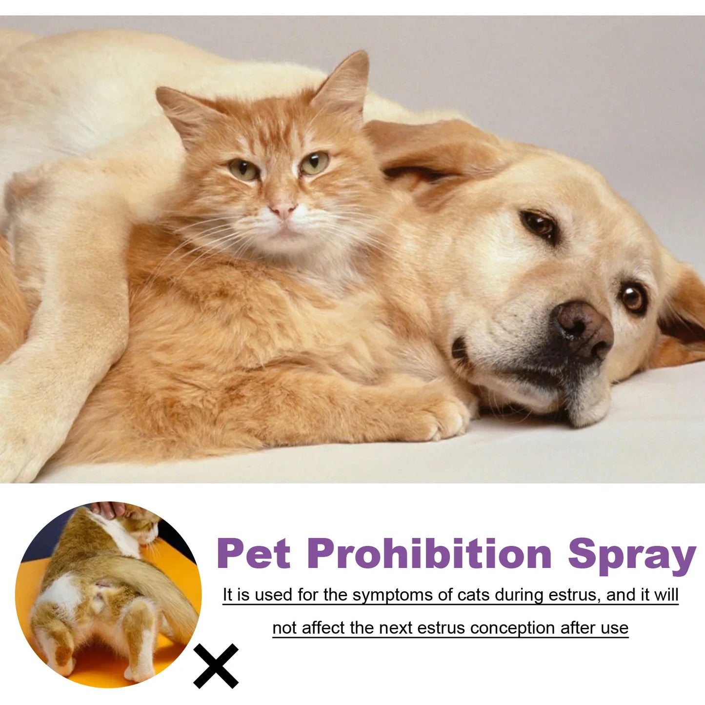 Calming Spray for Cats – Anxiety & Stress Relief Formula