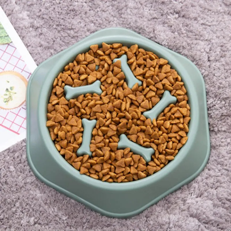 Dog Slow Feeder Bowl – Anti-Bloat Enrichment Feeding Dish