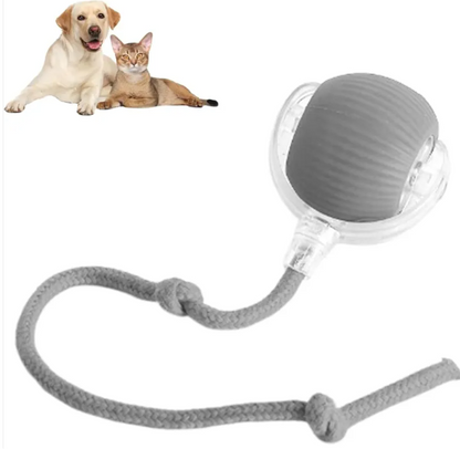 Auto-Rolling Smart Pet Ball – Interactive Motion Toy for Cats & Dogs