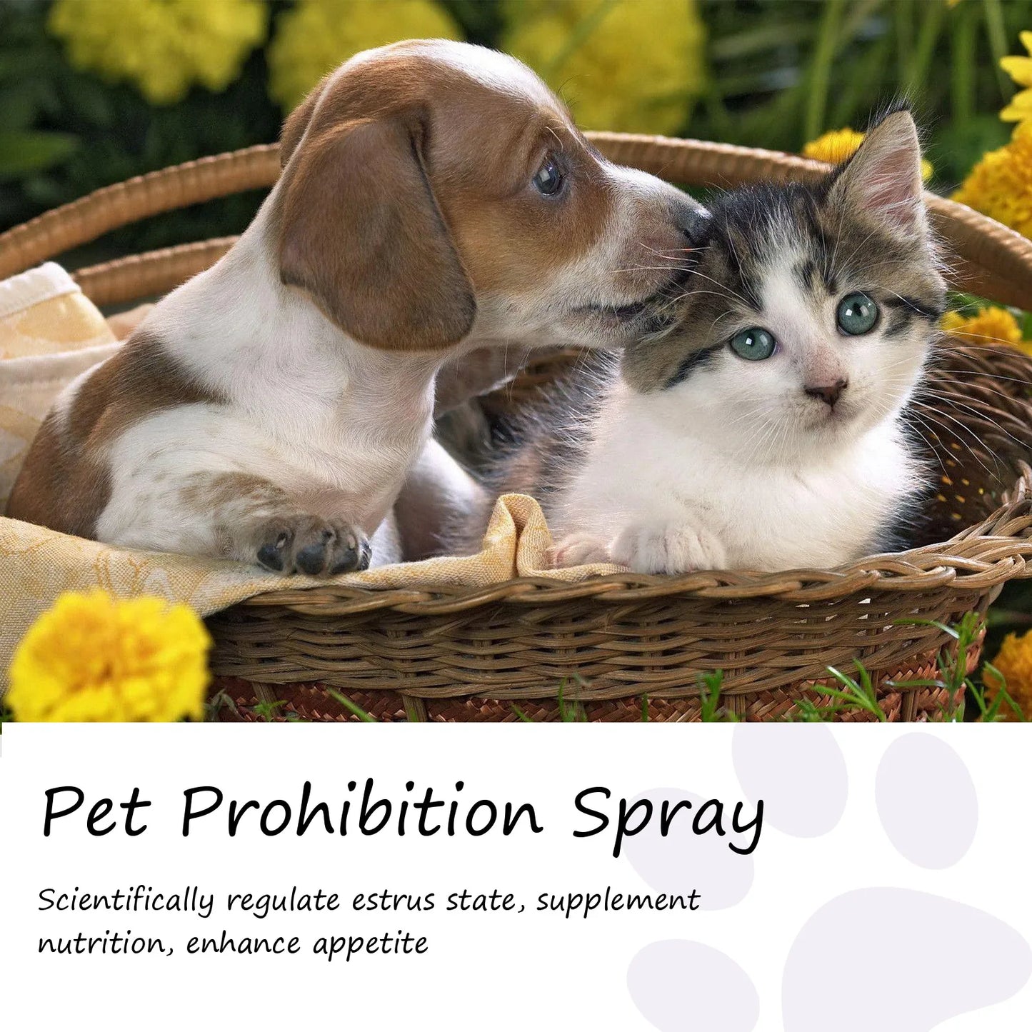 Calming Spray for Cats – Anxiety & Stress Relief Formula