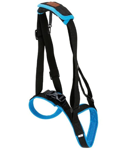 Dog Hind Leg Support Strap – Walking Rehabilitation Brace