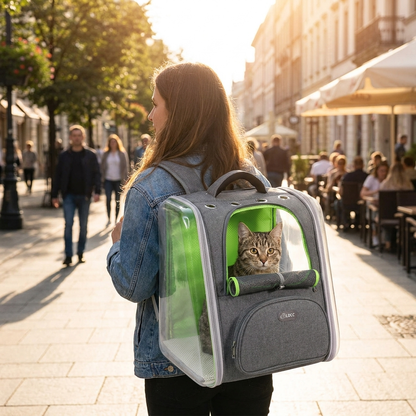 Large Transparent Pet Backpack lifestyle